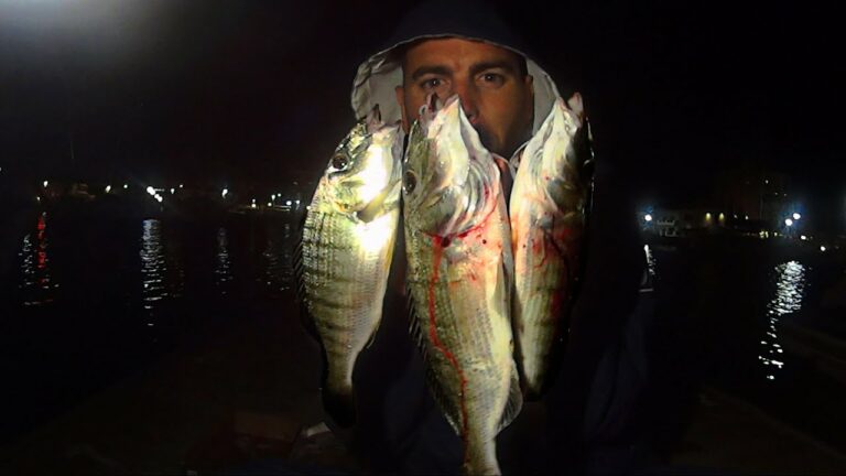 Cómo pescar de noche en el mar