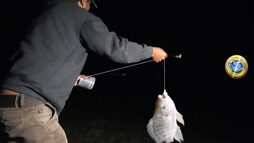 Cómo pescar de noche en el río