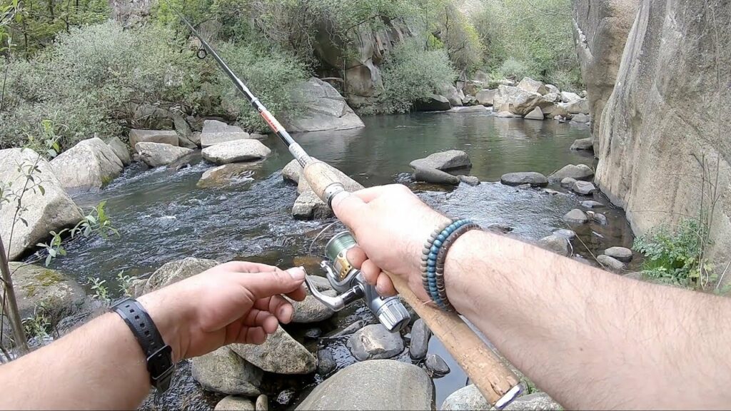 Cómo pescar en río con caña