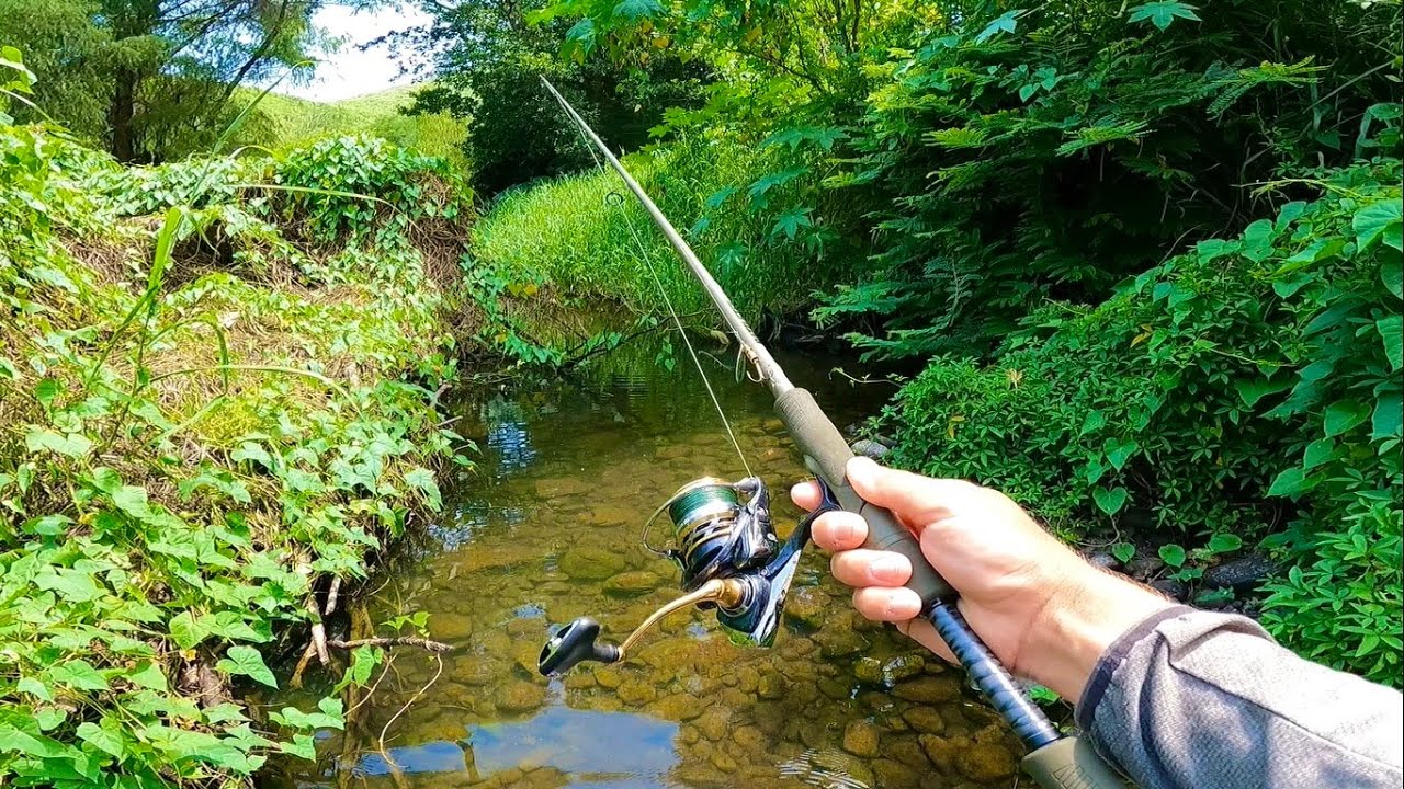 Cómo pescar en rio con corriente