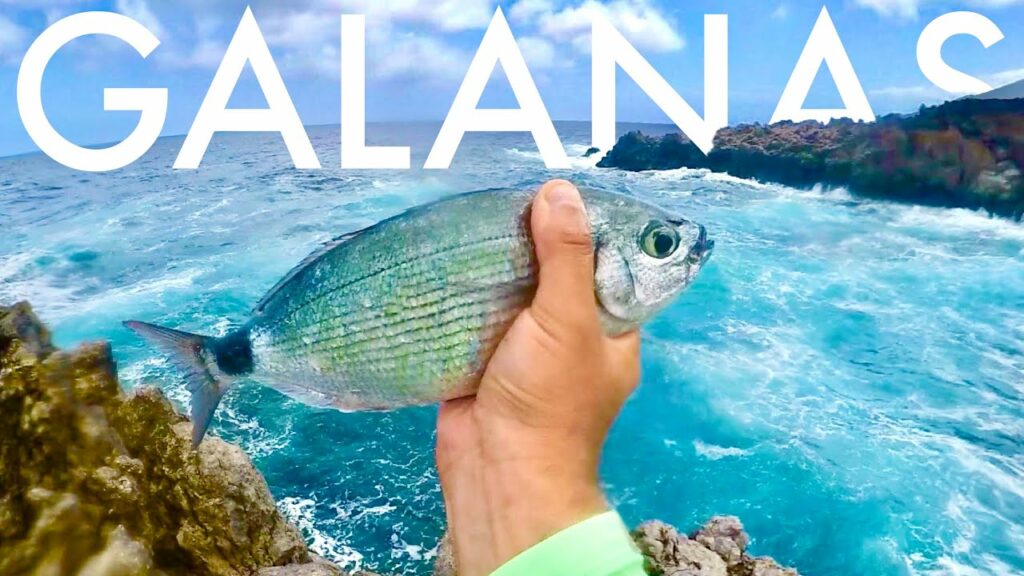 Cómo pescar galanas en Canarias
