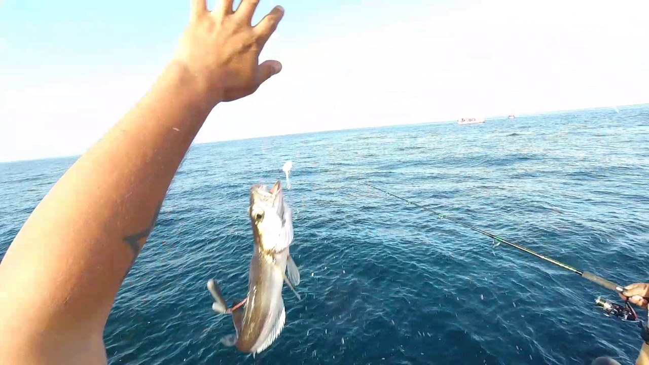 Cómo pescar merluza
