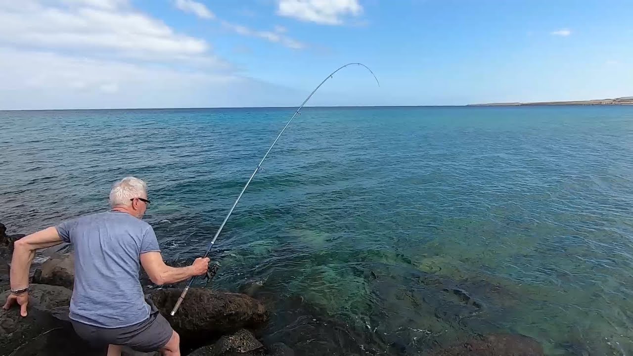 Cómo pescar obladas con caña
