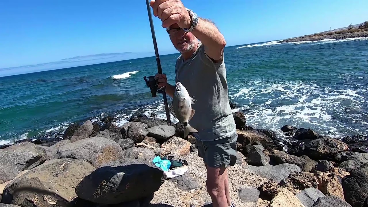 Cómo pescar palometas desde costa