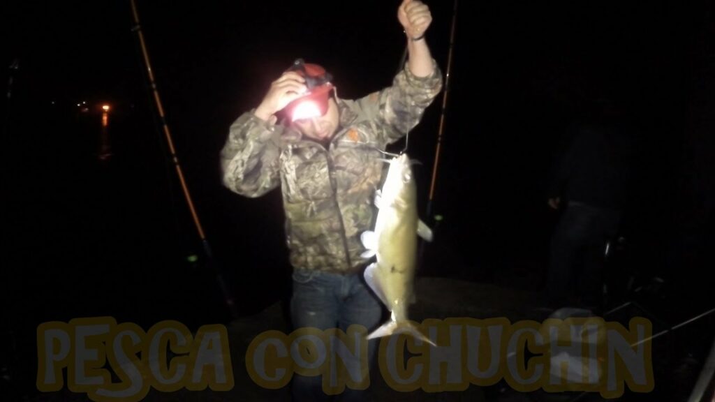 Cómo pescar por la noche