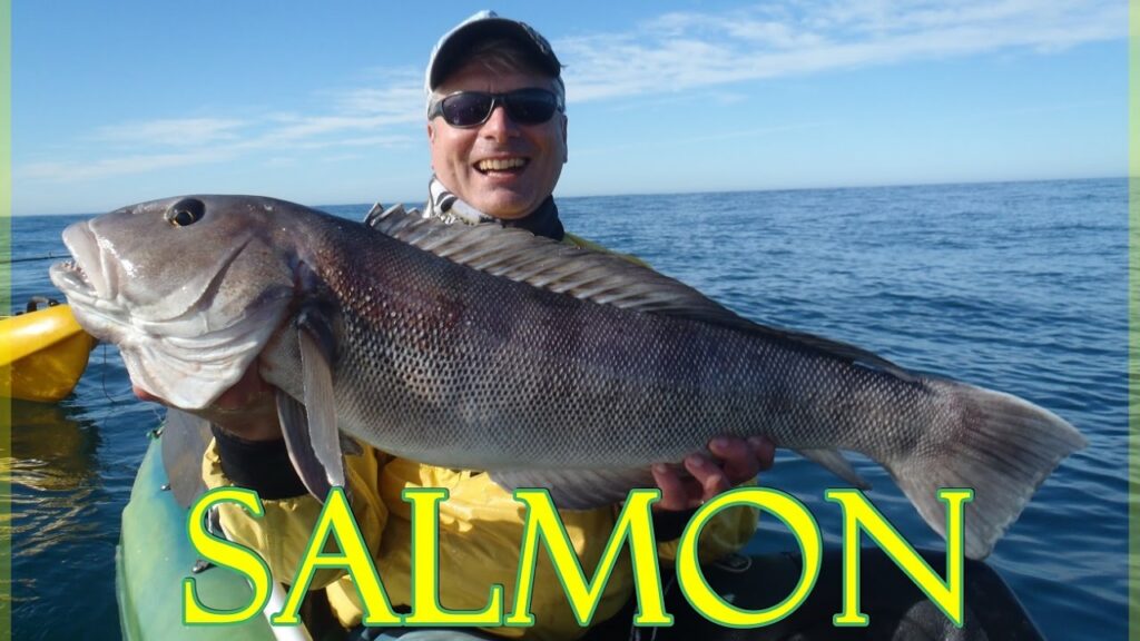 Cómo pescar salmón de mar