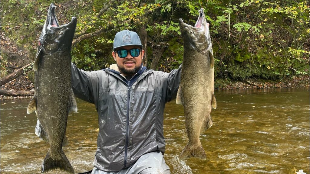 Cómo pescar salmones en ríos