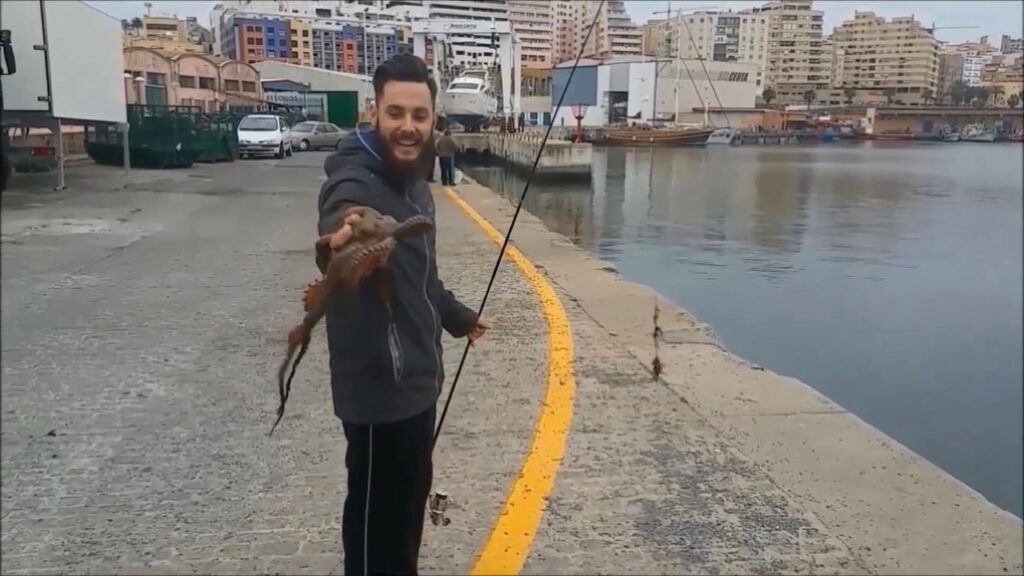 Cómo pescar sepias en el puerto