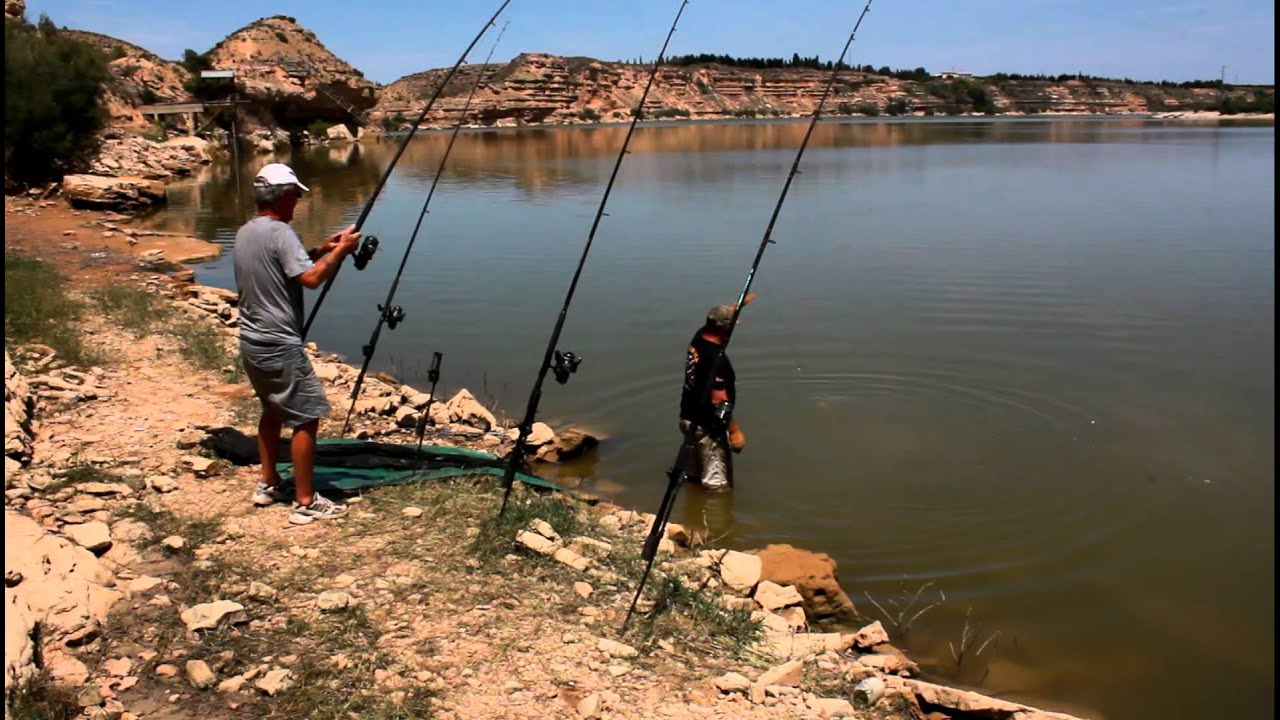 Cómo pescar siluros en embalses