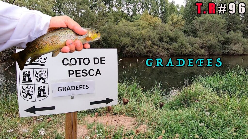 Cotos de Pesca Huesca
