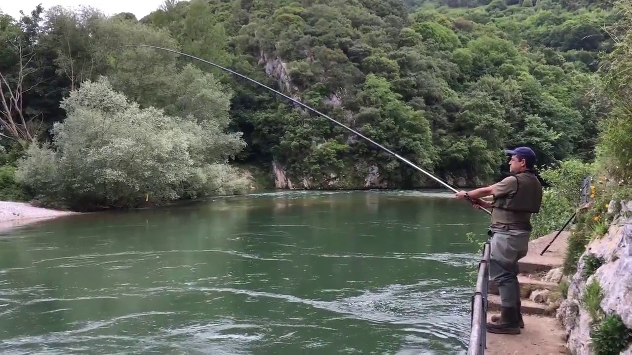 Cotos de Pesca en Asturias