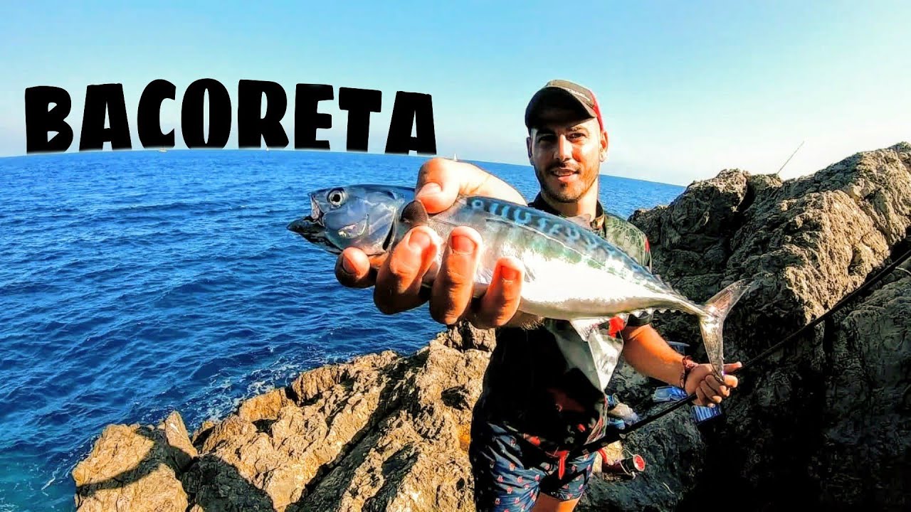 Cómo Pescar Bacoretas desde Costa