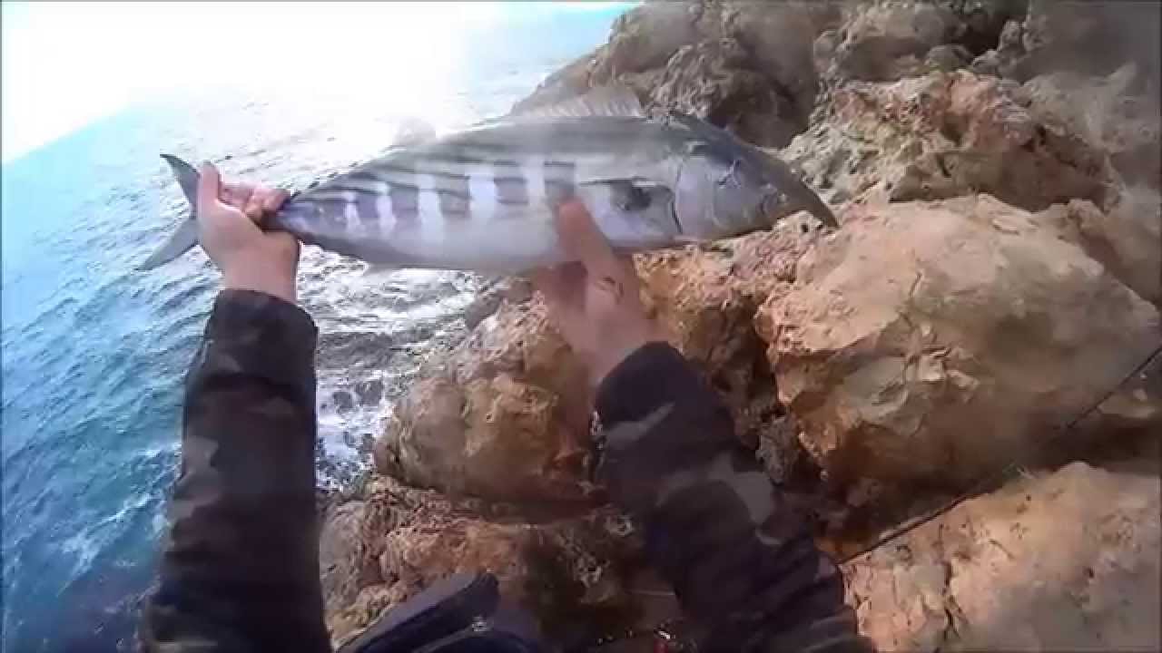 Cómo Pescar Bonitos desde Costa