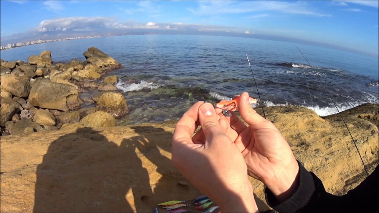 Cómo Pescar Calamares con Caña desde Costa