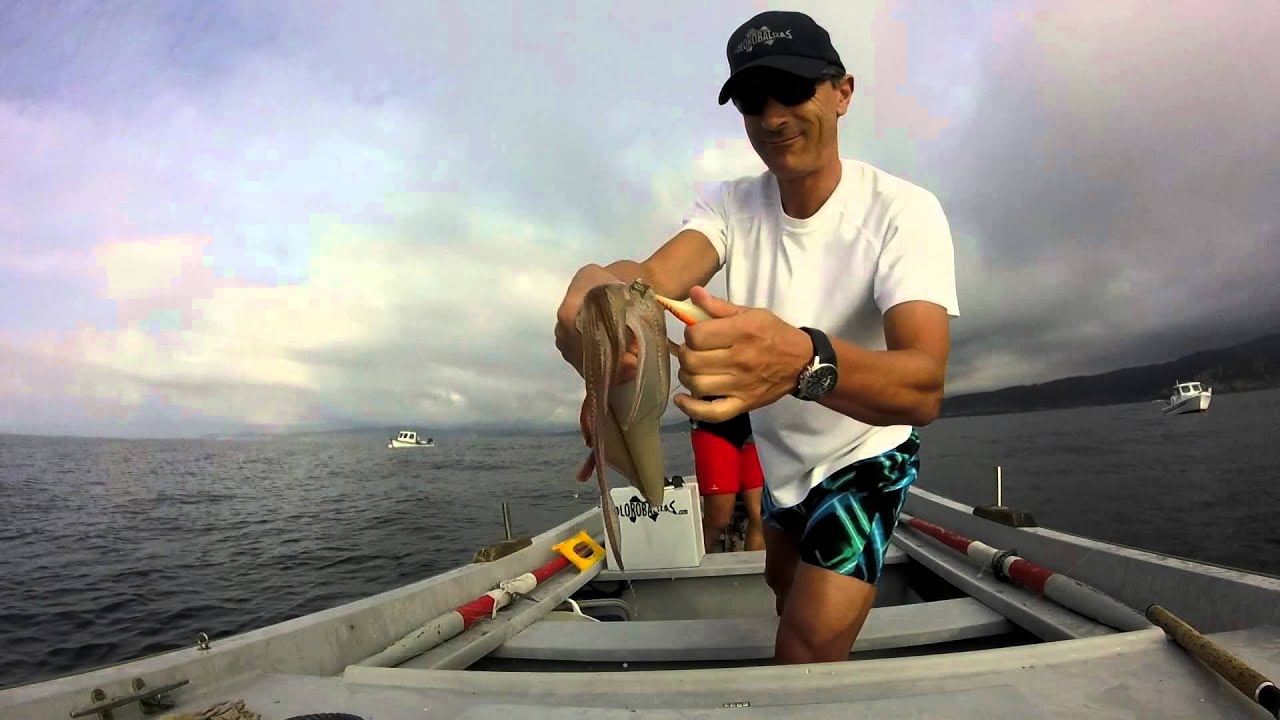 Cómo Pescar Calamares en Barca