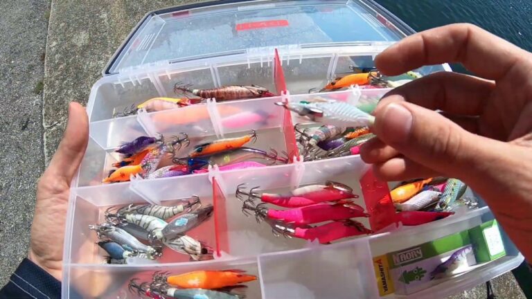 Cómo Pescar Calamares en Verano