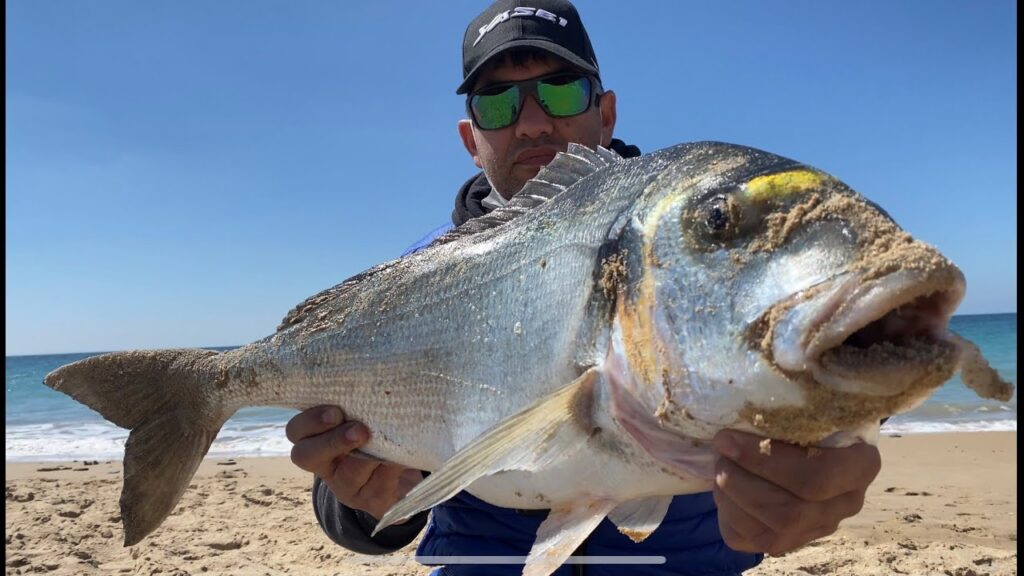 Cómo Pescar Doradas en Almería