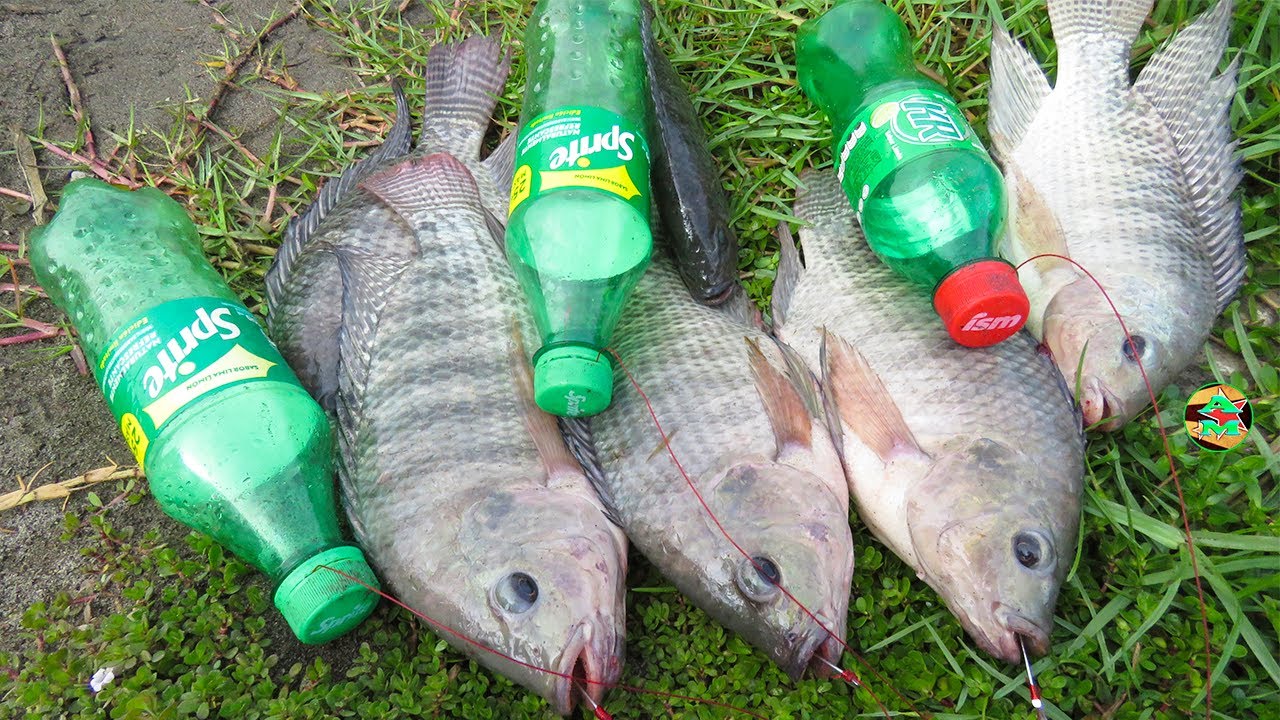 Cómo Pescar con Botellas