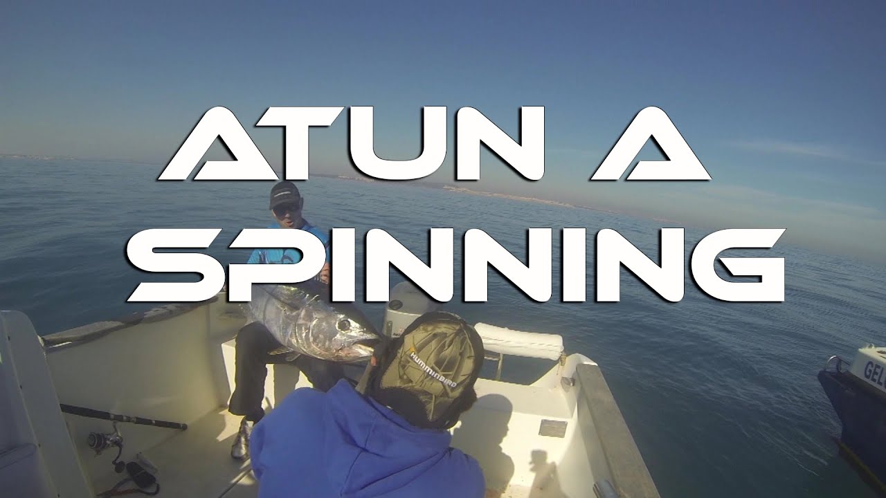 Cómo pescar atunes a spinning