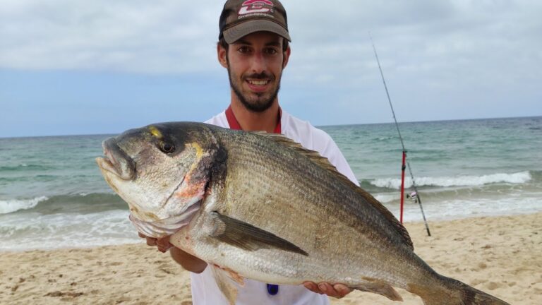 Donde Pescar Doradas en Cádiz