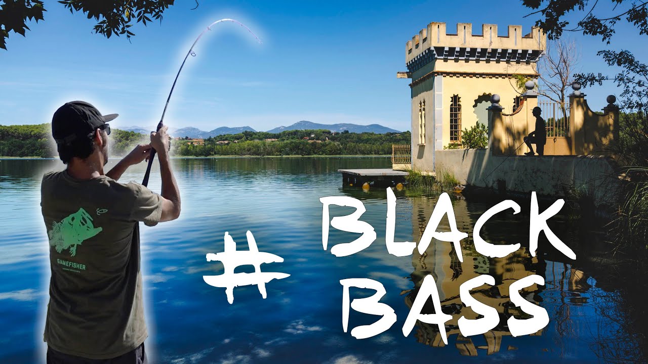 Dónde Pescar Black Bass en Catalunya