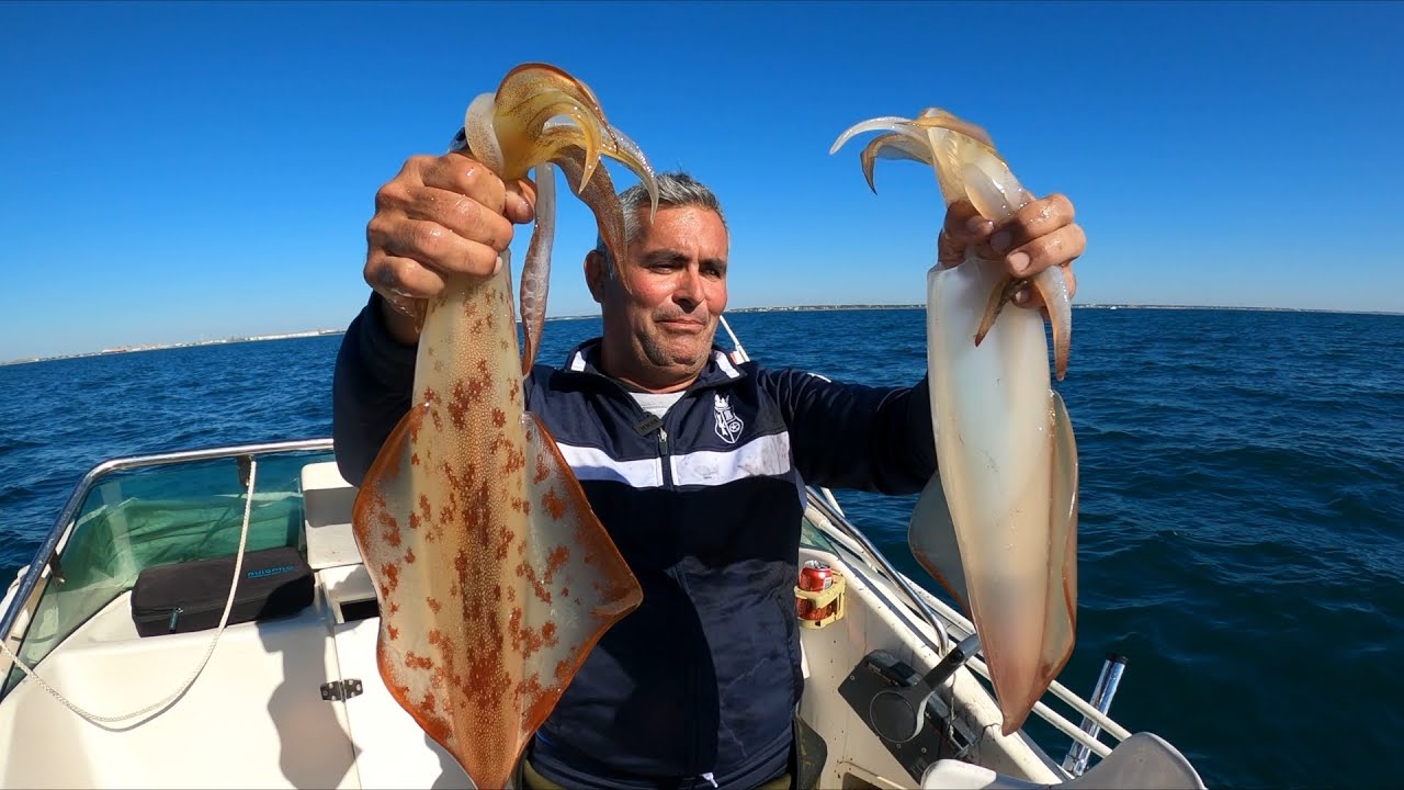 Dónde Pescar Calamares en Cantabria