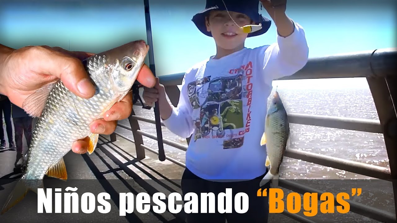 Dónde Pescar con Niños en Aragón
