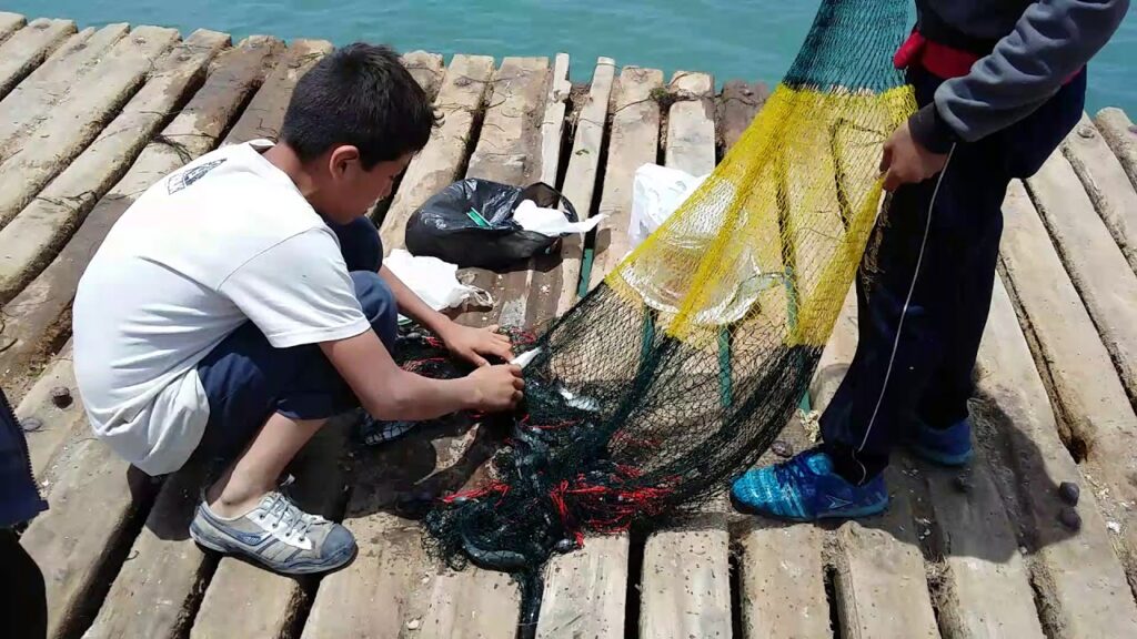 Piscifactoría para pescar con niños madrid