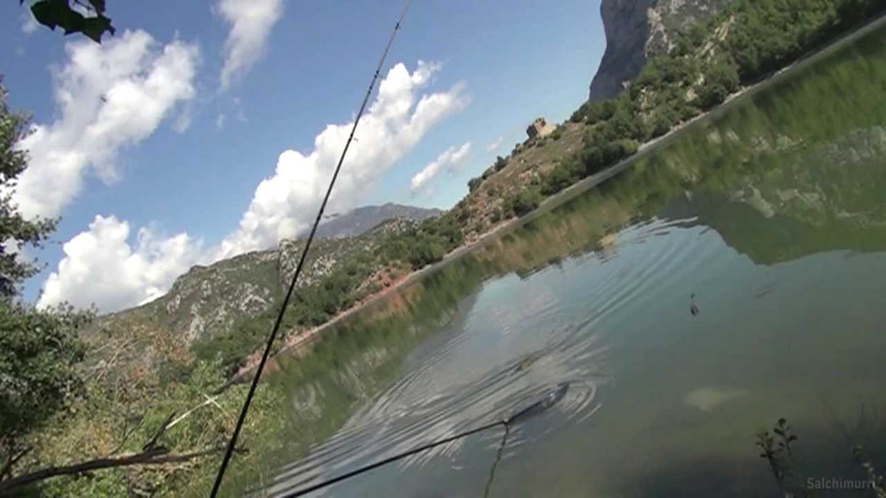 Dónde Pescar en Lleida