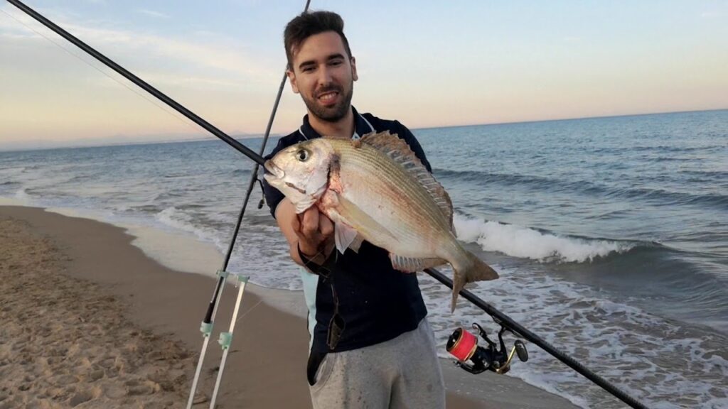 Las Mejores Playas para Pescar en Tarragona