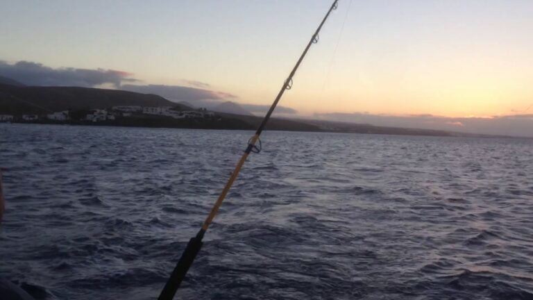 Los Mejores Sitios para Pescar en Lanzarote