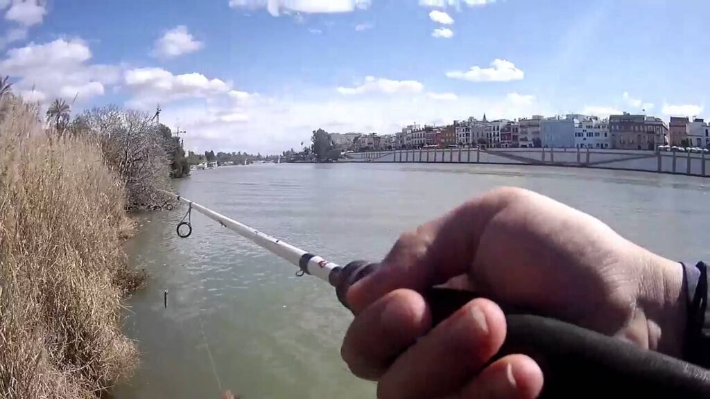 Pesca en el Guadalquivir