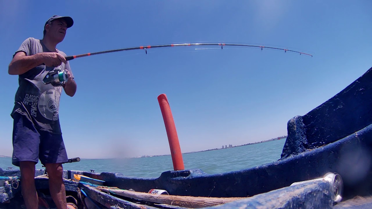 Mejores Días para Pescar Cádiz