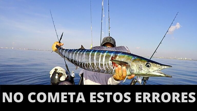 Multa por Pescar Sin Licencia Extremadura