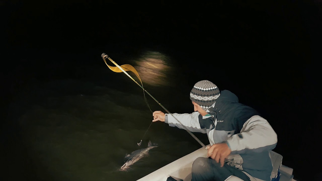 Multa por pescar de Noche en Cataluña
