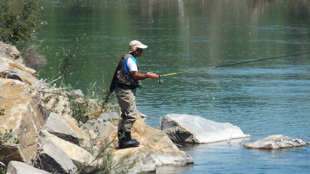 Pesca Intensiva en Aragón
