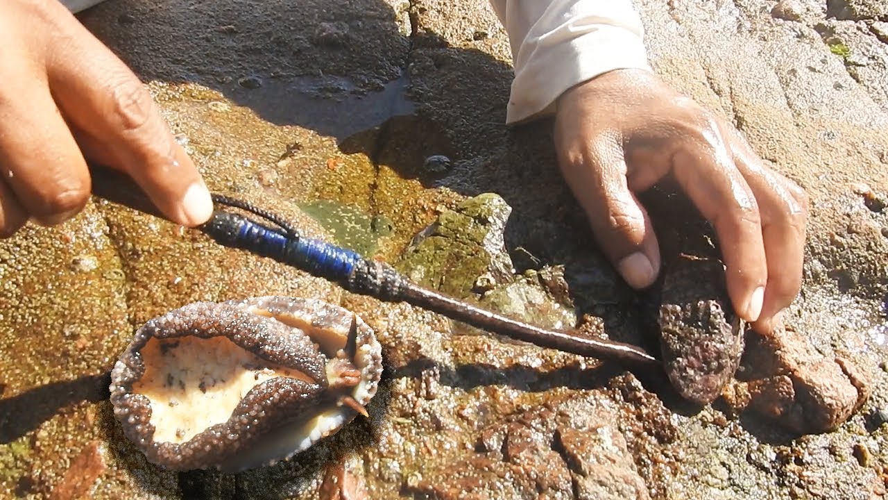 Pesca de Lapas en Canarias
