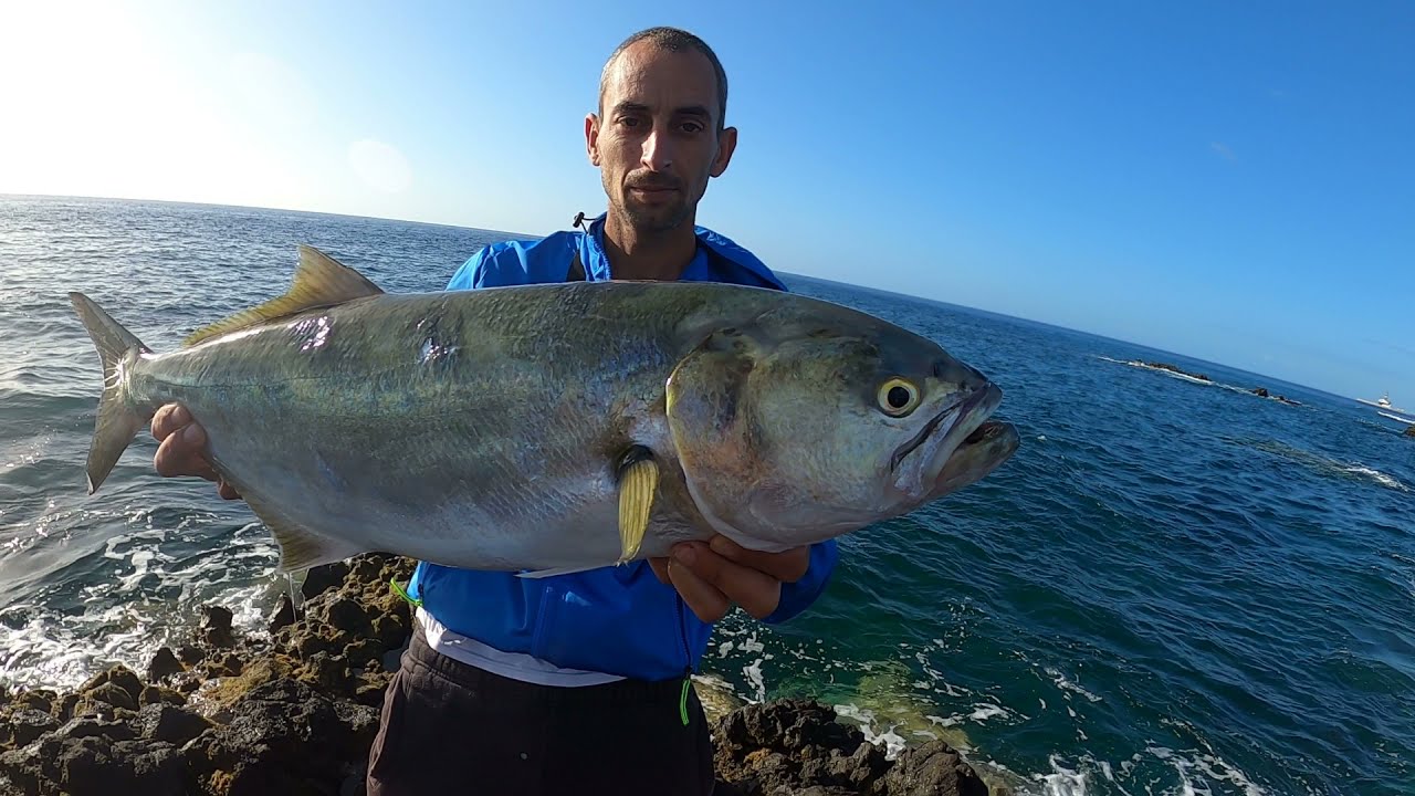 Pesca del Bocinegro en Canarias