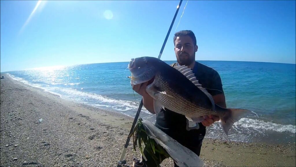 Qué se Pesca en Almería