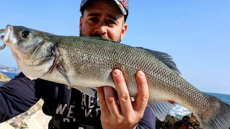 Qué se Pesca en Huelva