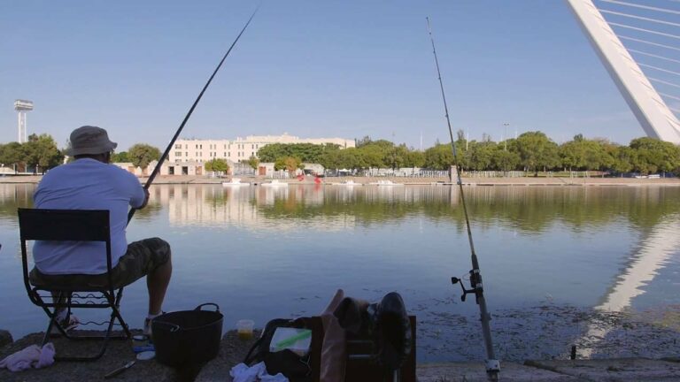 Qué se Puede Pescar en Sevilla