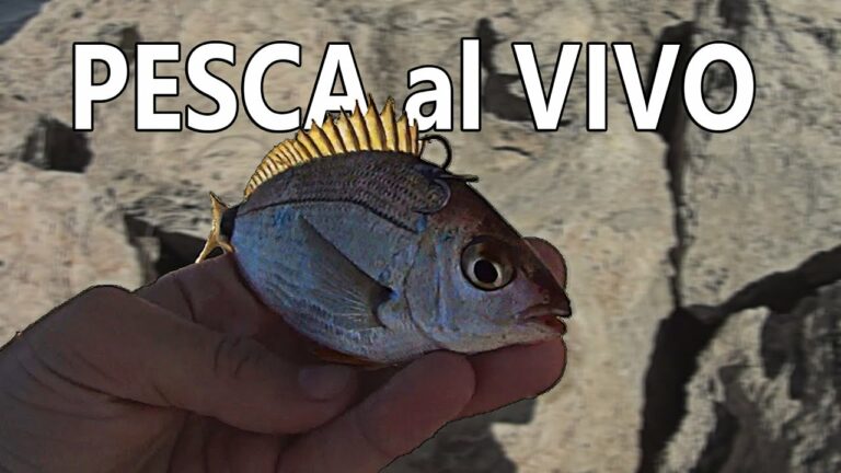 Se Puede Pescar con Pez Vivo en Castilla-La Mancha