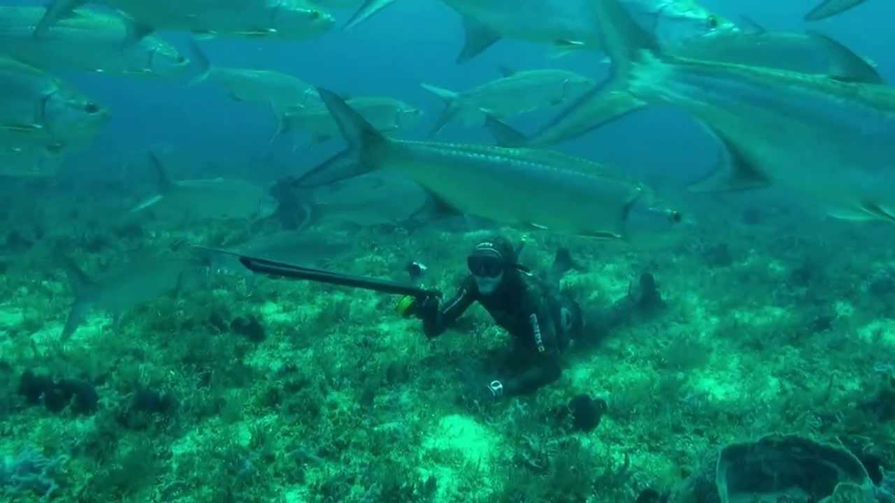 Seguros de pesca submarina