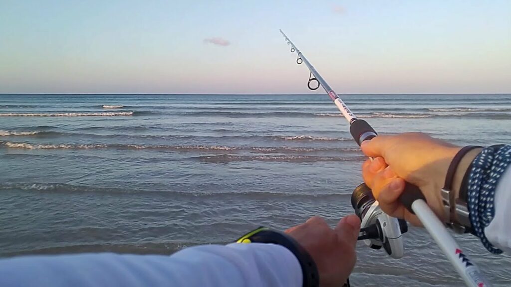 Sitios para Pescar a Spinning en Cádiz