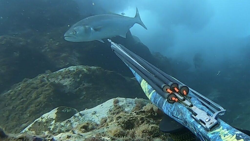 zonas pesca submarina gran canaria